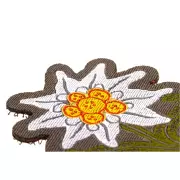 Nášivka Clawgear Edelweiss Patch